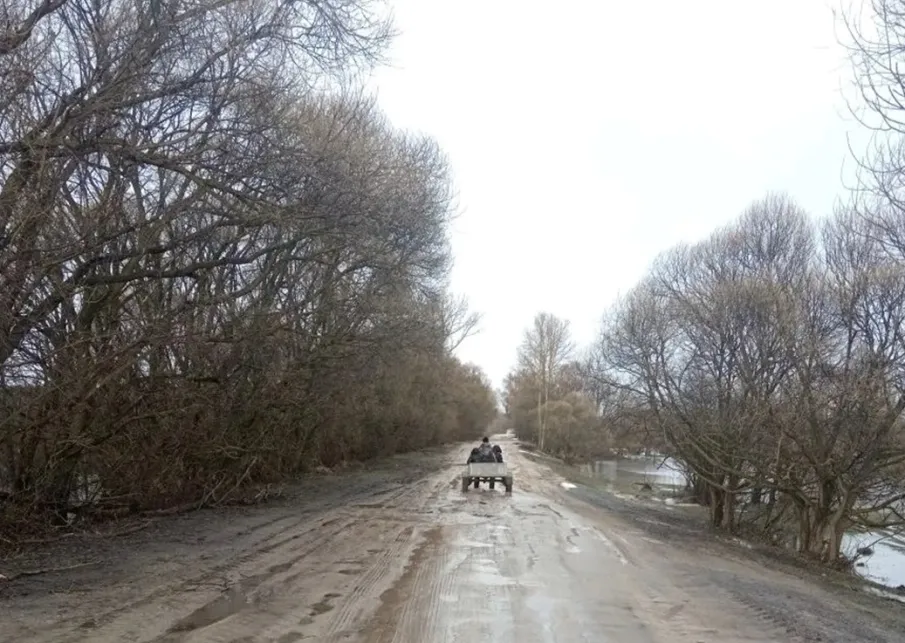 О возобновлении движения на участке автомобильной дороги п. Арзинка - с. Мадаево Починковского муниципального округа Нижегородской области