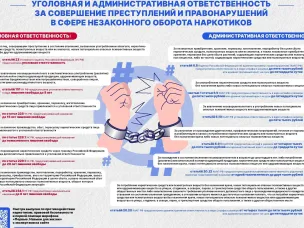 Уголовная и административная ответственность за совершение преступлений и правонарушений в сфере незаконного оборота наркотиков
