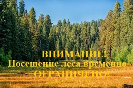 ПОСЕЩЕНИЕ ЛЕСА ВРЕМЕННО ОГРАНИЧЕНО!