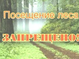 Посещение леса запрещено!