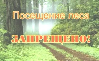 Посещение леса запрещено!