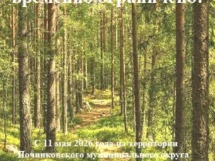 Посещение леса временно ограничено!