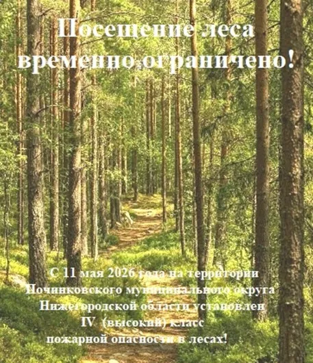Посещение леса временно ограничено!