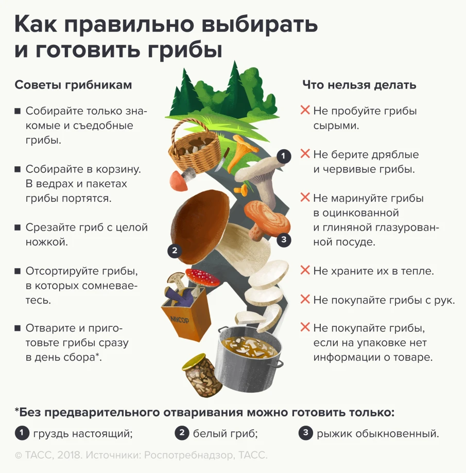 «Грибы: инструкция по применению»