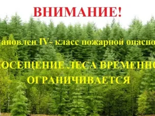 Посещение леса временно ограничено!