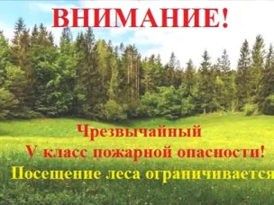 С 12 сентября 2024 года на территории Починковского муниципального округа Нижегородской области установлен V класс пожарной опасности в лесах по условиям погоды!