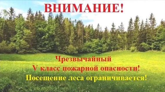 С 12 сентября 2024 года на территории Починковского муниципального округа Нижегородской области установлен V класс пожарной опасности в лесах по условиям погоды!