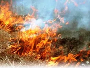 Соблюдайте правила пожарной безопасности!