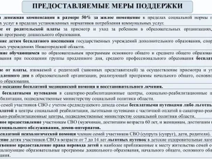 Предоставляемые меры поддержки