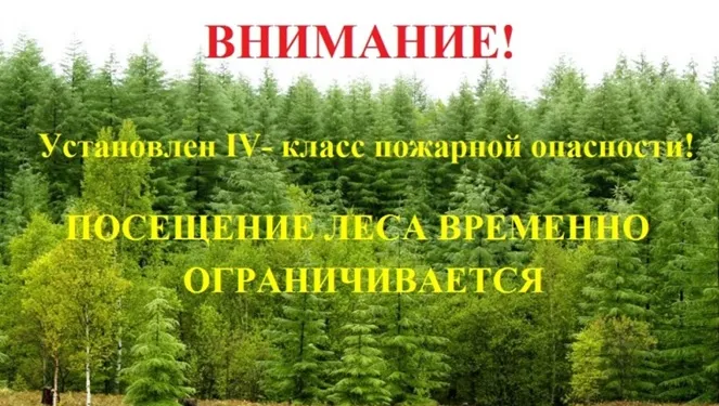 Посещение леса временно ограничено!