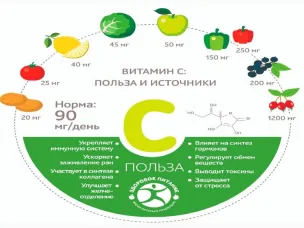 «День витамина С. Аскорбиновая кислота: свойства, польза и основные источники»