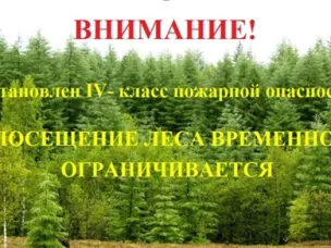 С 05 мая 2024 года на территории Починковского муниципального округа Нижегородской области установлен IV (высокий) класс пожарной опасности в лесах по условиям погоды!