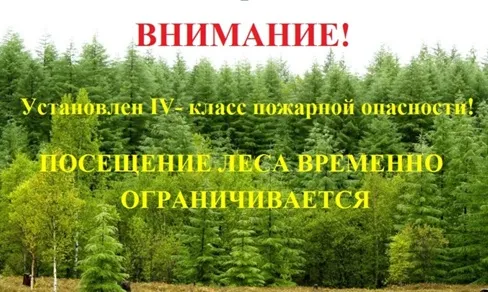 С 05 мая 2024 года на территории Починковского муниципального округа Нижегородской области установлен IV (высокий) класс пожарной опасности в лесах по условиям погоды!