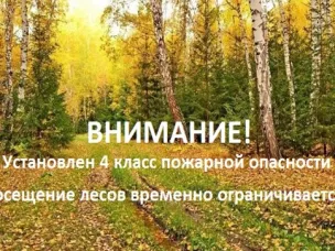 С 23 сентября 2025 года на территории Починковского муниципального округа Нижегородской области установлен IV (высокий) класс пожарной опасности в лесах!