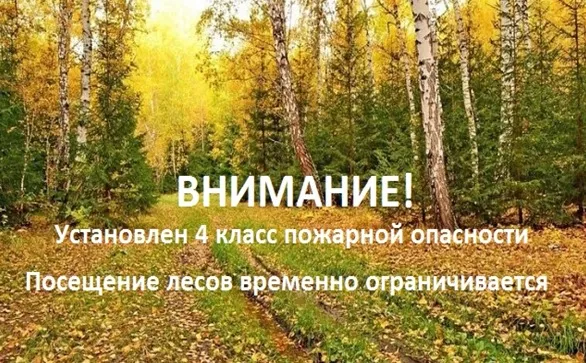С 23 сентября 2025 года на территории Починковского муниципального округа Нижегородской области установлен IV (высокий) класс пожарной опасности в лесах!