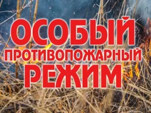 Об установлении на территории Нижегородской области особого противопожарного режима