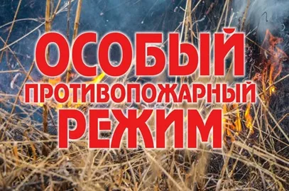 Об установлении на территории Нижегородской области особого противопожарного режима
