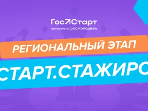 Региональный этап стажировок в рамках направления «ГосСтарт.Стажировки» Всероссийской программы сопровождения молодых государственных и муниципальных служащих «ГосСтарт»